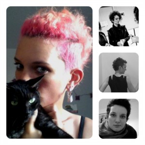 collage_shorthair